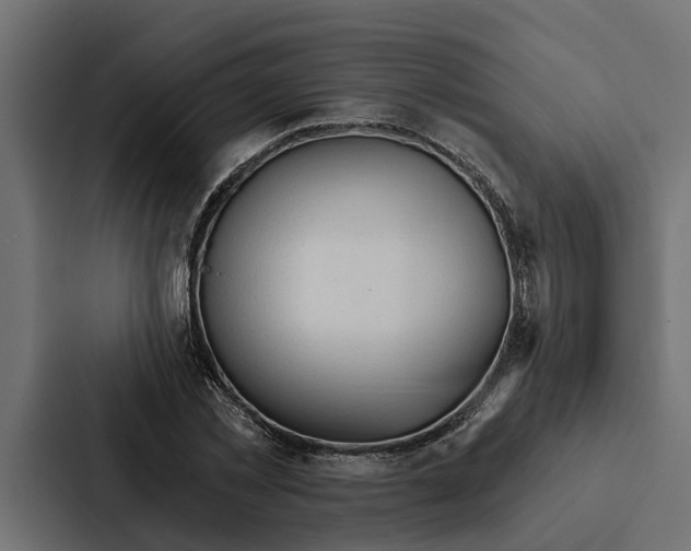 X0000087040781200705160929