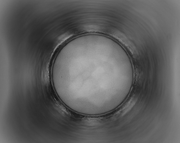 X0000087040782200705160929
