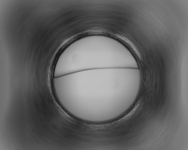 X0000087040783200705160929