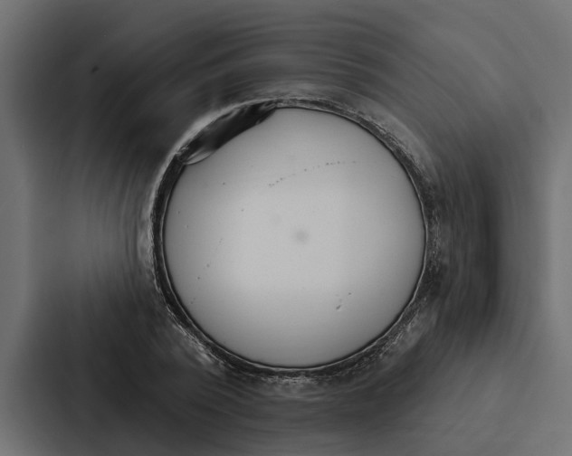 X0000087040784200705160929