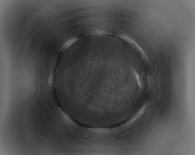 X0000087040785200705160929