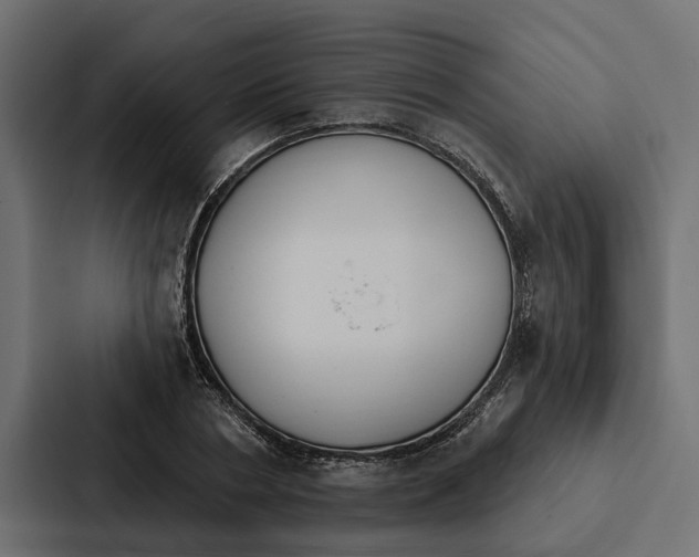 X0000087040786200705160929