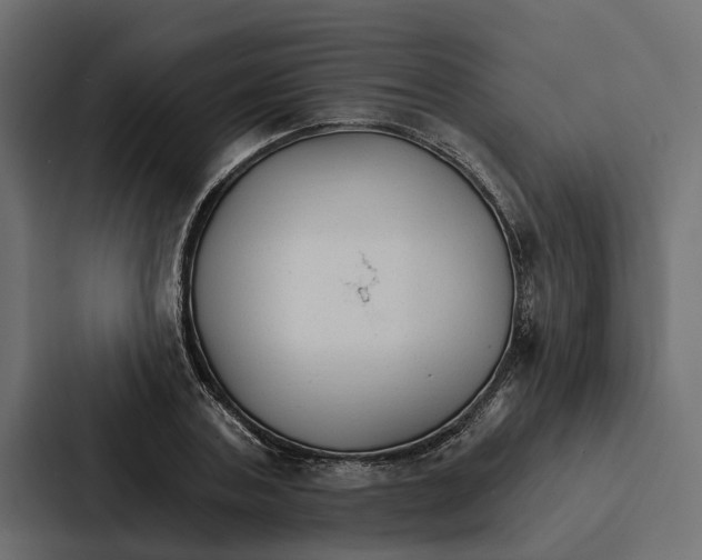 X0000087040787200705160929