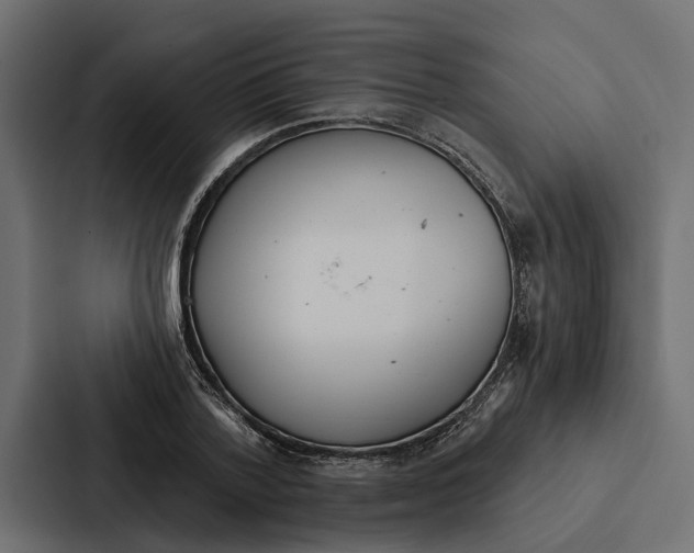 X0000087040788200705160929