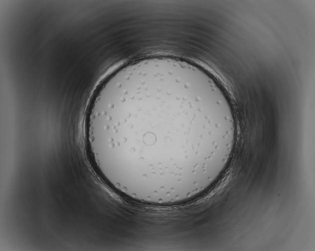 X0000087040790200705160929