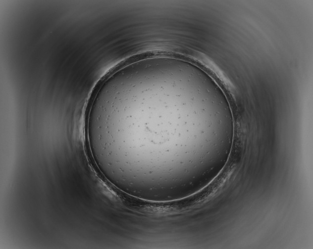 X0000087040791200705160929