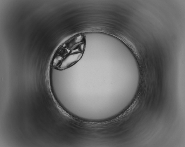 X0000087040792200705160929