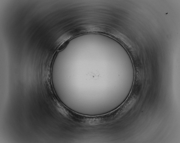 X0000087040793200705160929