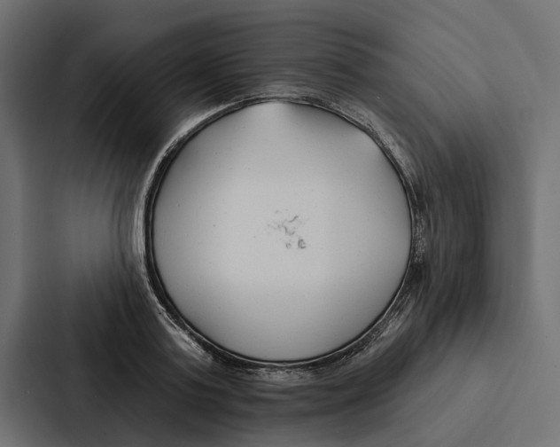 X0000087040795200705160929