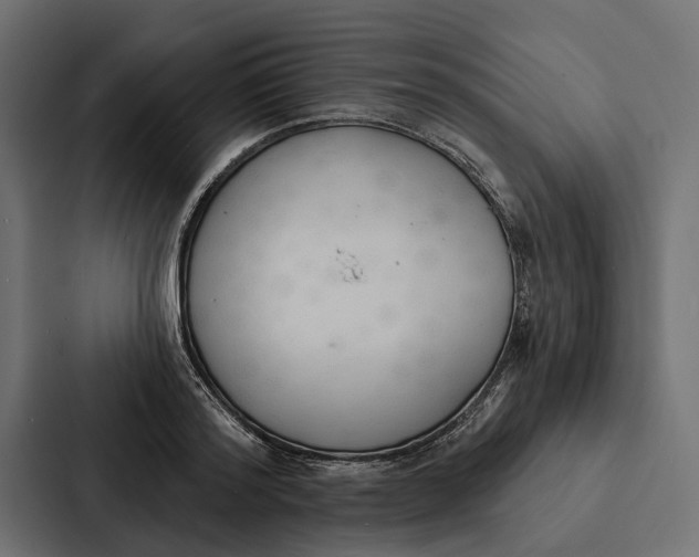 X0000087040796200705160929