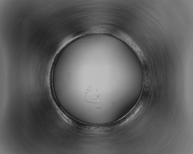 X0000087040803200705160929