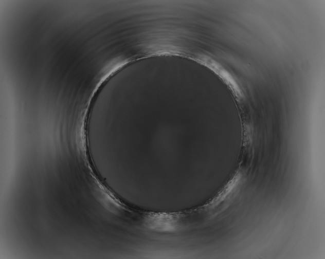 X0000087040806200705160929
