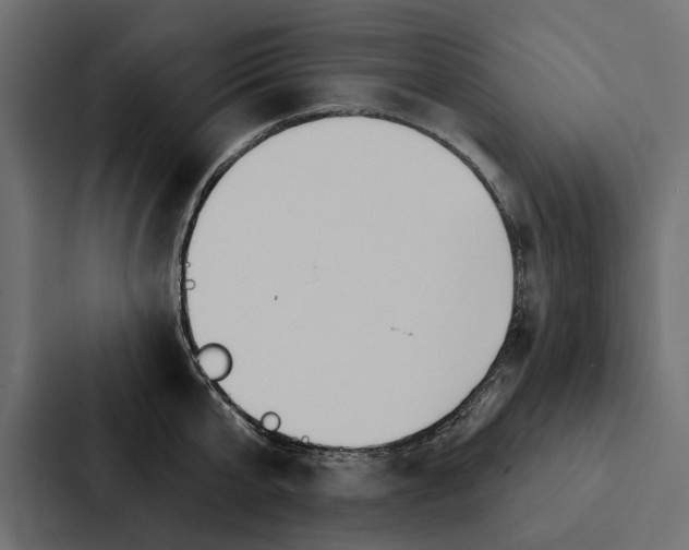 X0000087040807200705160929