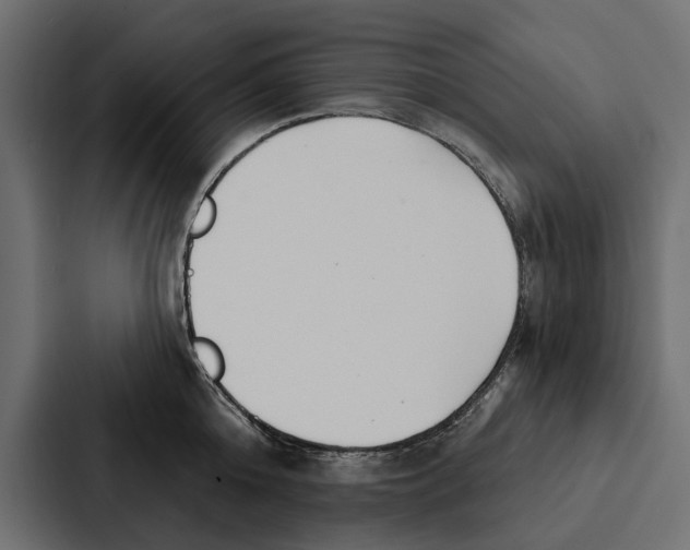 X0000087040808200705160929