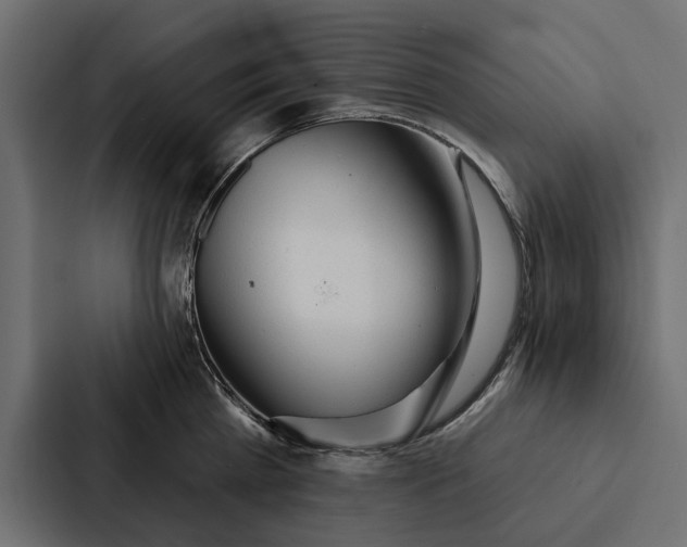 X0000087040809200705160929