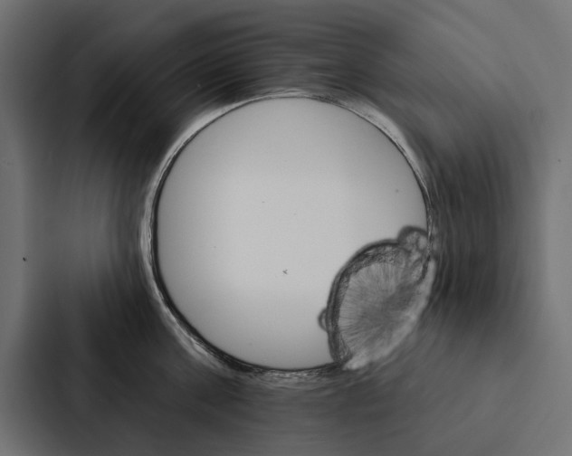 X0000087040811200705160929