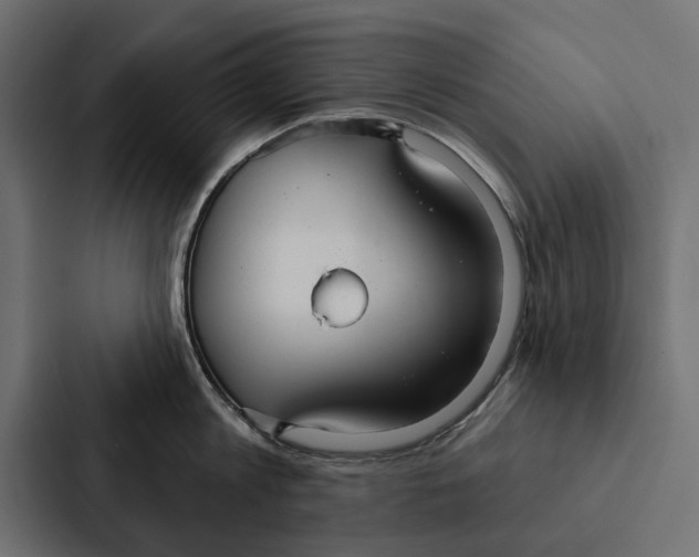 X0000087040813200705160929