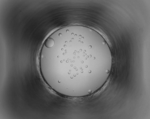 X0000087040814200705160929