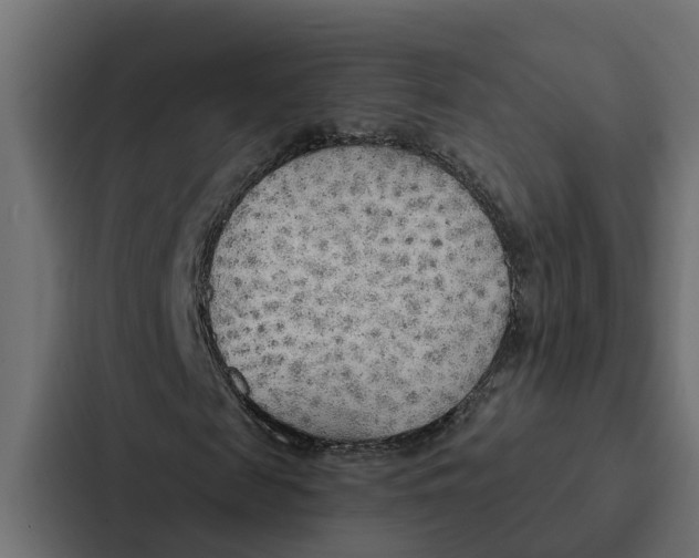 X0000087040817200705160928