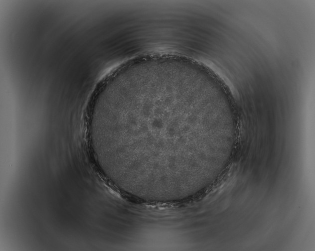 X0000087040823200705160928