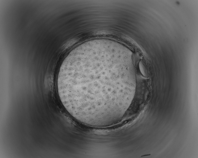 X0000087040825200705160929