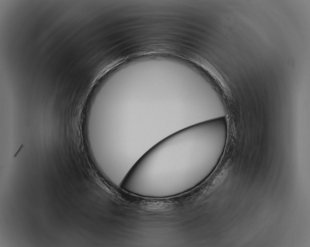 X0000087040826200705160929