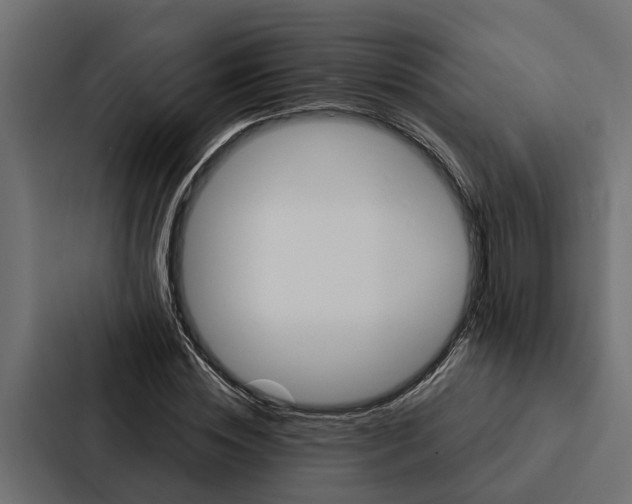 X0000087040828200705160929