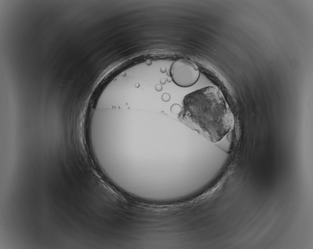X0000087040829200705160929