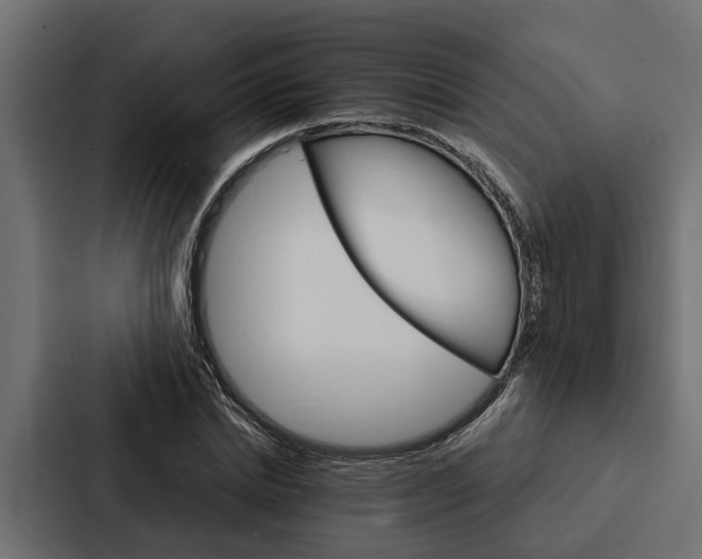 X0000087040830200705160929