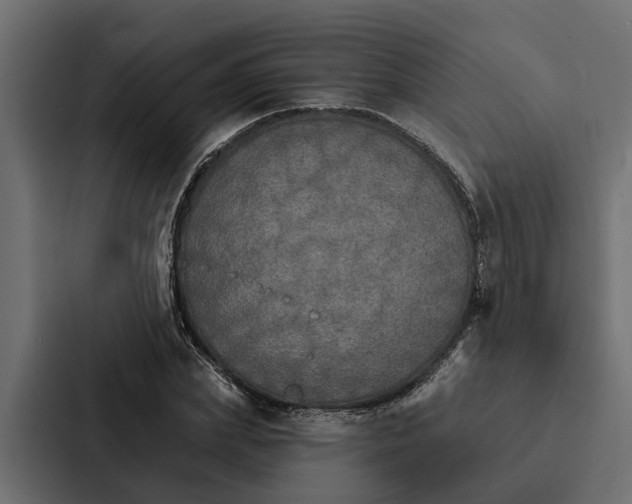 X0000087040831200705160929