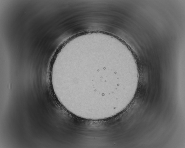 X0000087040832200705160929