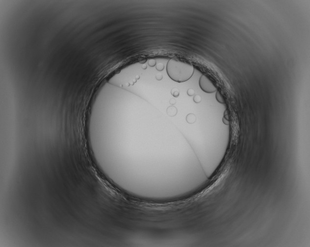 X0000087040833200705160929