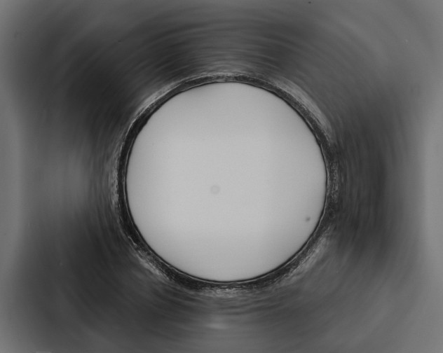 X0000087040834200705160929