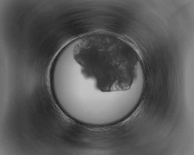 X0000087040835200705160929