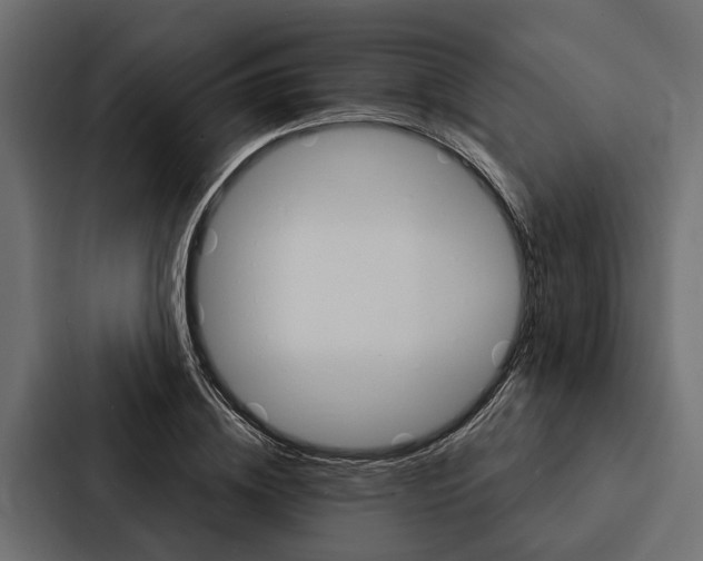 X0000087040836200705160929