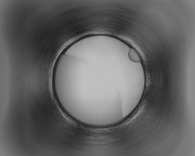 X0000087040837200705160929
