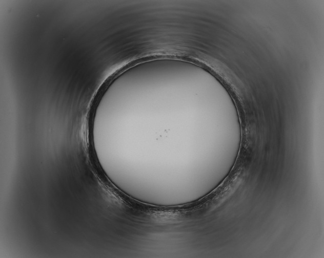 X0000087040838200705160929