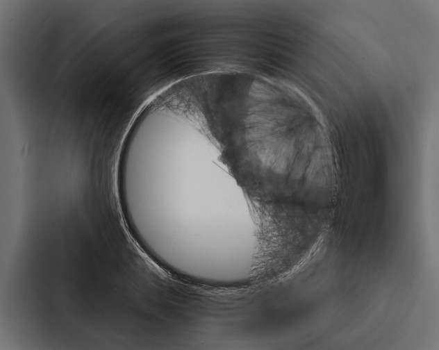X0000087040839200705160929
