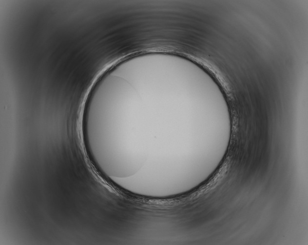 X0000087040840200705160929