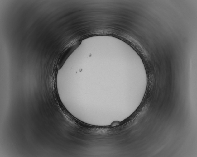 X0000087040841200705160929