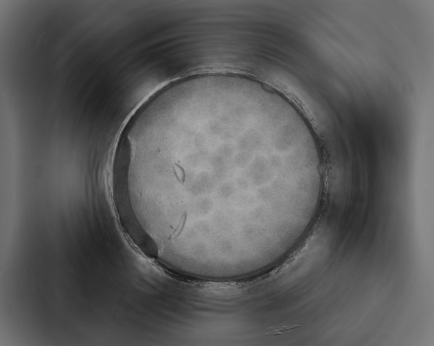 X0000087040844200705160929