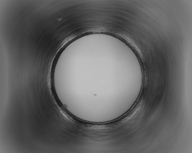 X0000087040845200705160929