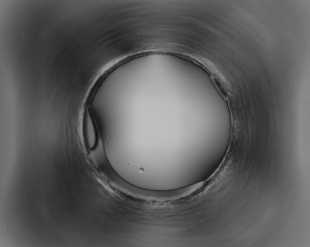 X0000087040846200705160929