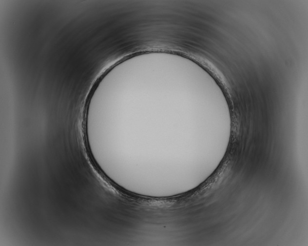 X0000087040847200705160929