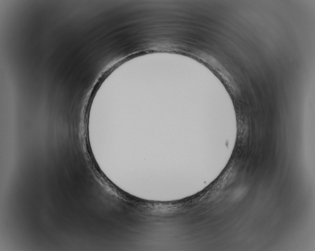 X0000087040848200705160929