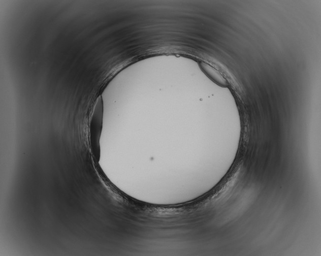 X0000087040849200705160929