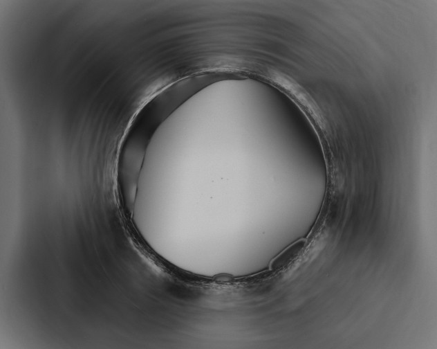 X0000087040850200705160929