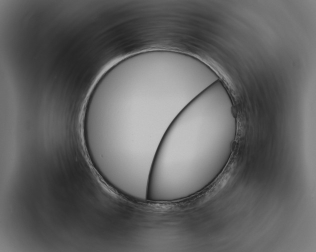 X0000087040854200705160929