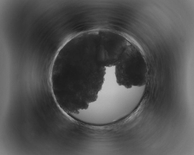 X0000087040855200705160929