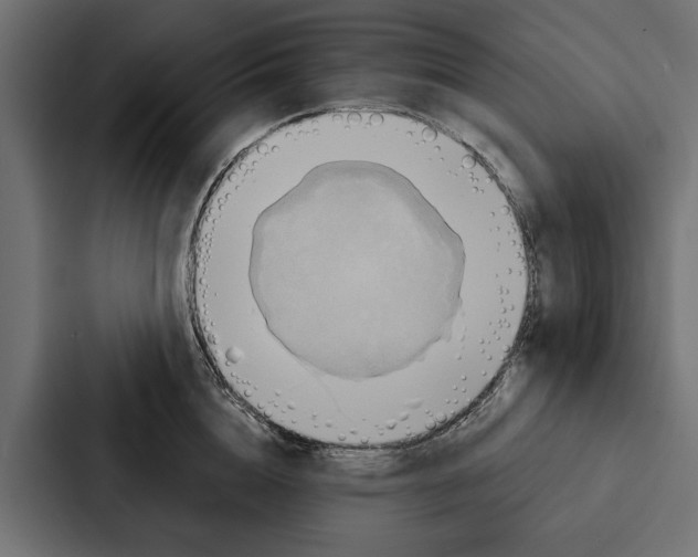 X0000087040856200705160929